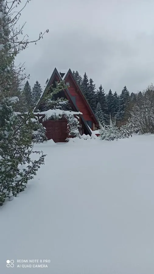 Medina Koliba Villa Delnice Chalet