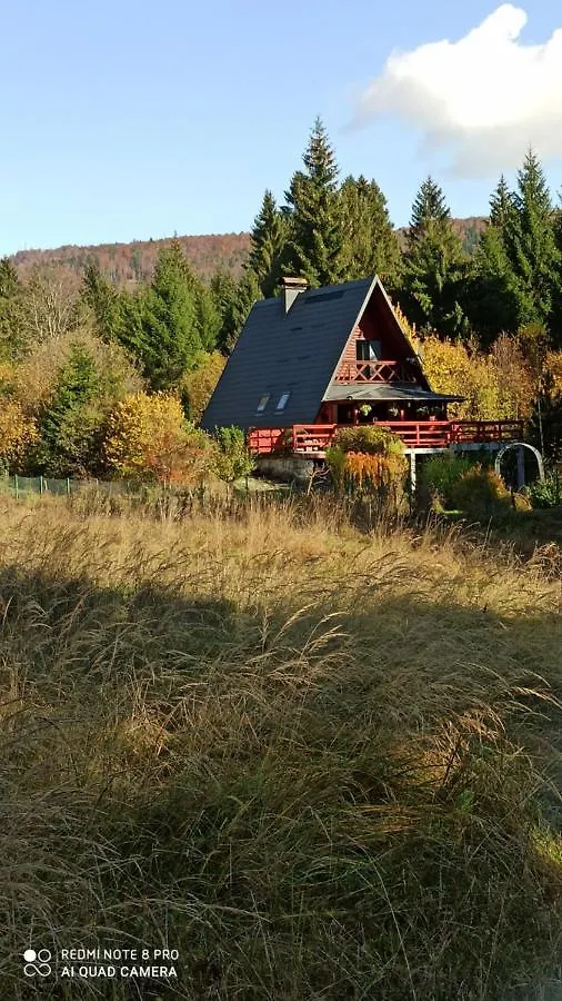 Chalet Medina Koliba Villa Delnice